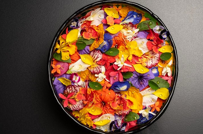 An overhead plated dish of brightly coloured edible flowers and petals on a dark plate at Celele restaurant in Cartagena, Colombia